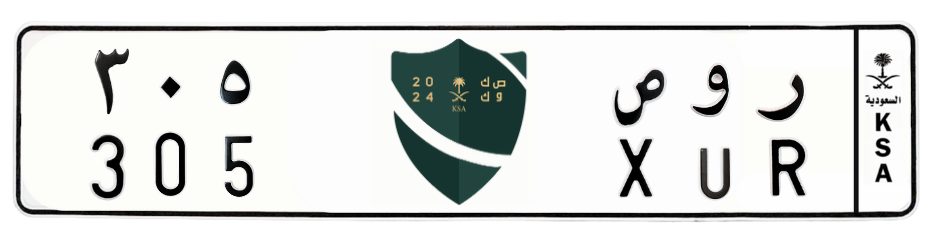 لوحة ر و ص 305